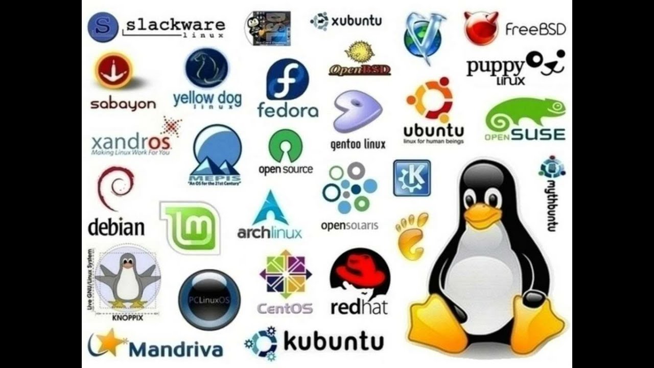 Variedad de distribuciones Linux